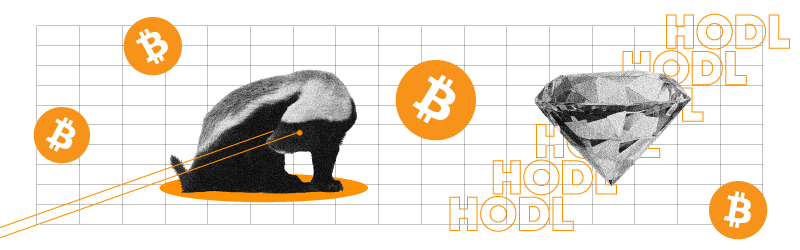 Area Bitcoin Banner - HODL