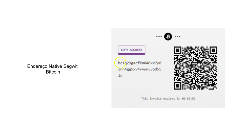 Native Segwit Bitcoin Address