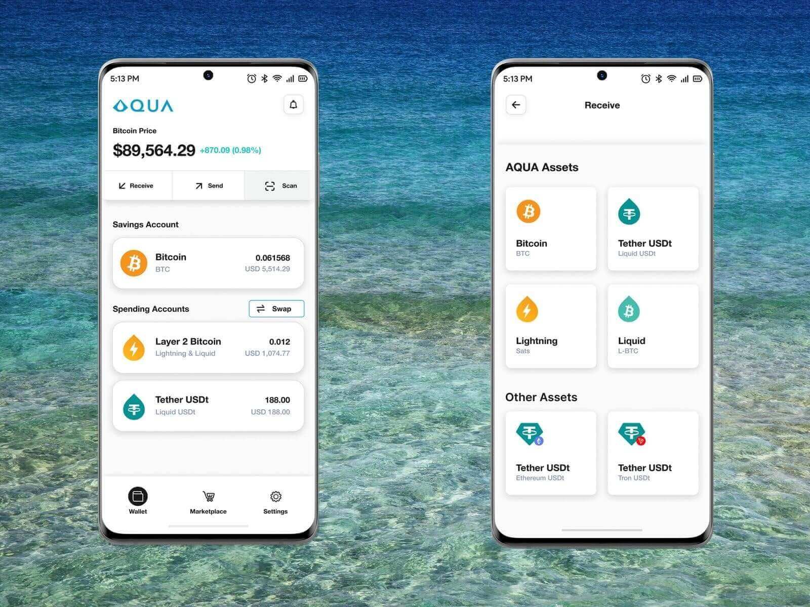 Aqua Wallet's interface