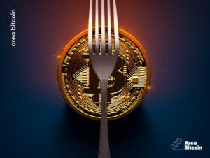 Bitcoin's fork