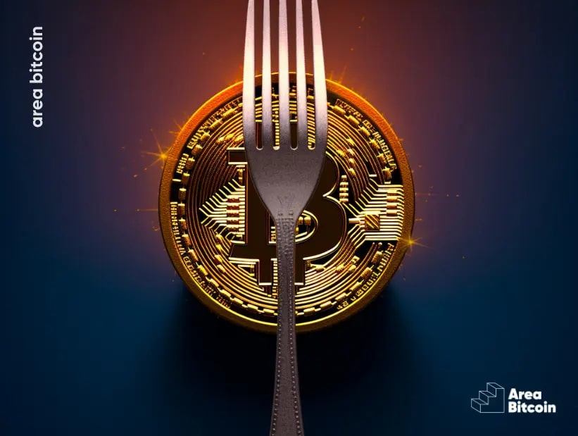 Bitcoin's fork