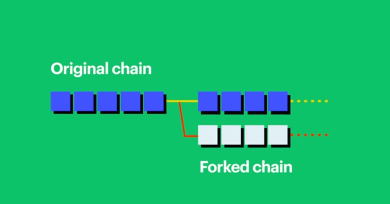 Original and forked chain