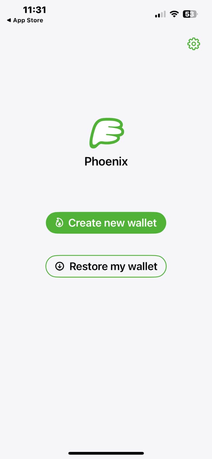 First screen Phoenix app