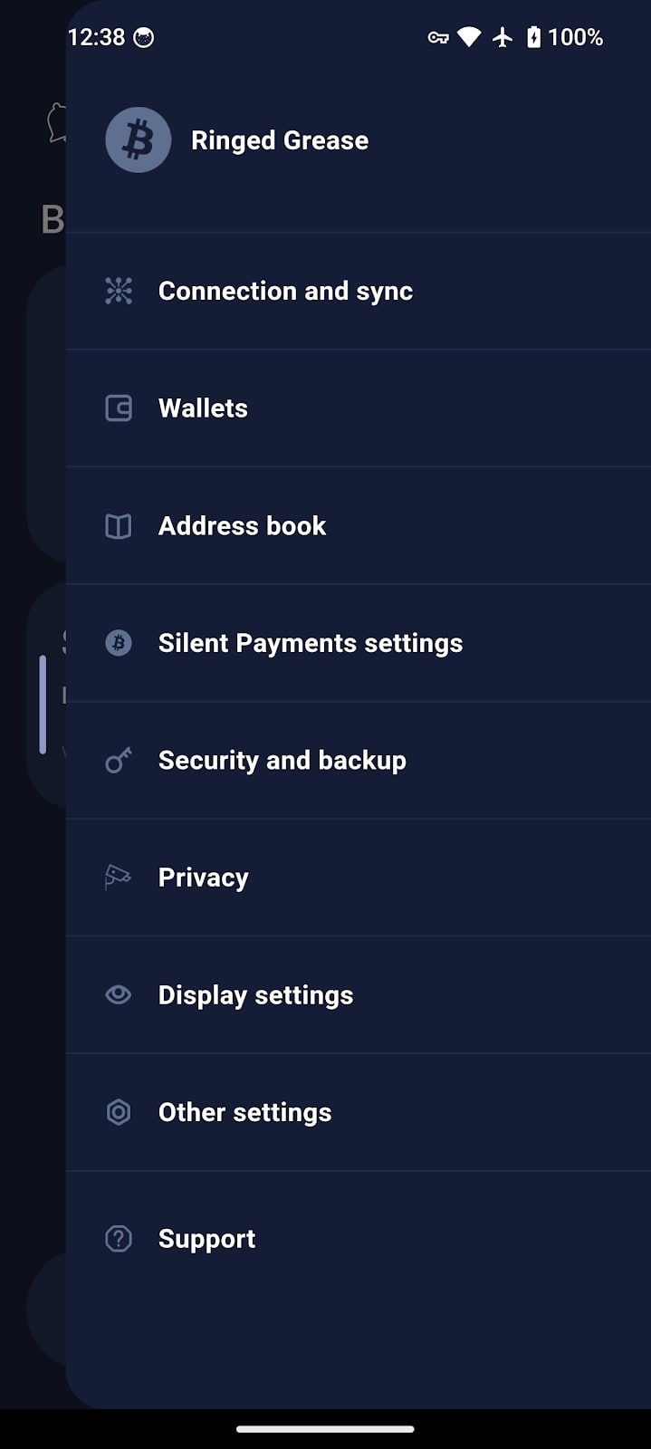 Cake Wallet Settings